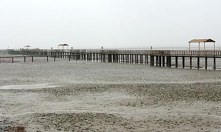 白金工作室新作《太阳登陆舰》公开合体系统视频